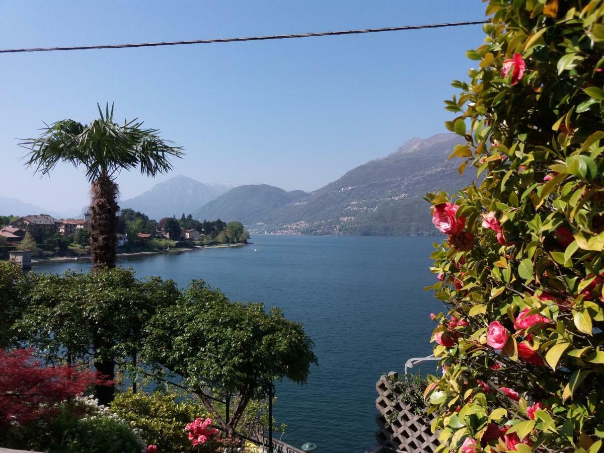 Villa Plinio Lago Di Como Dervio Bagian luar foto